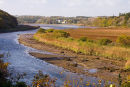 Eastern Cleddau